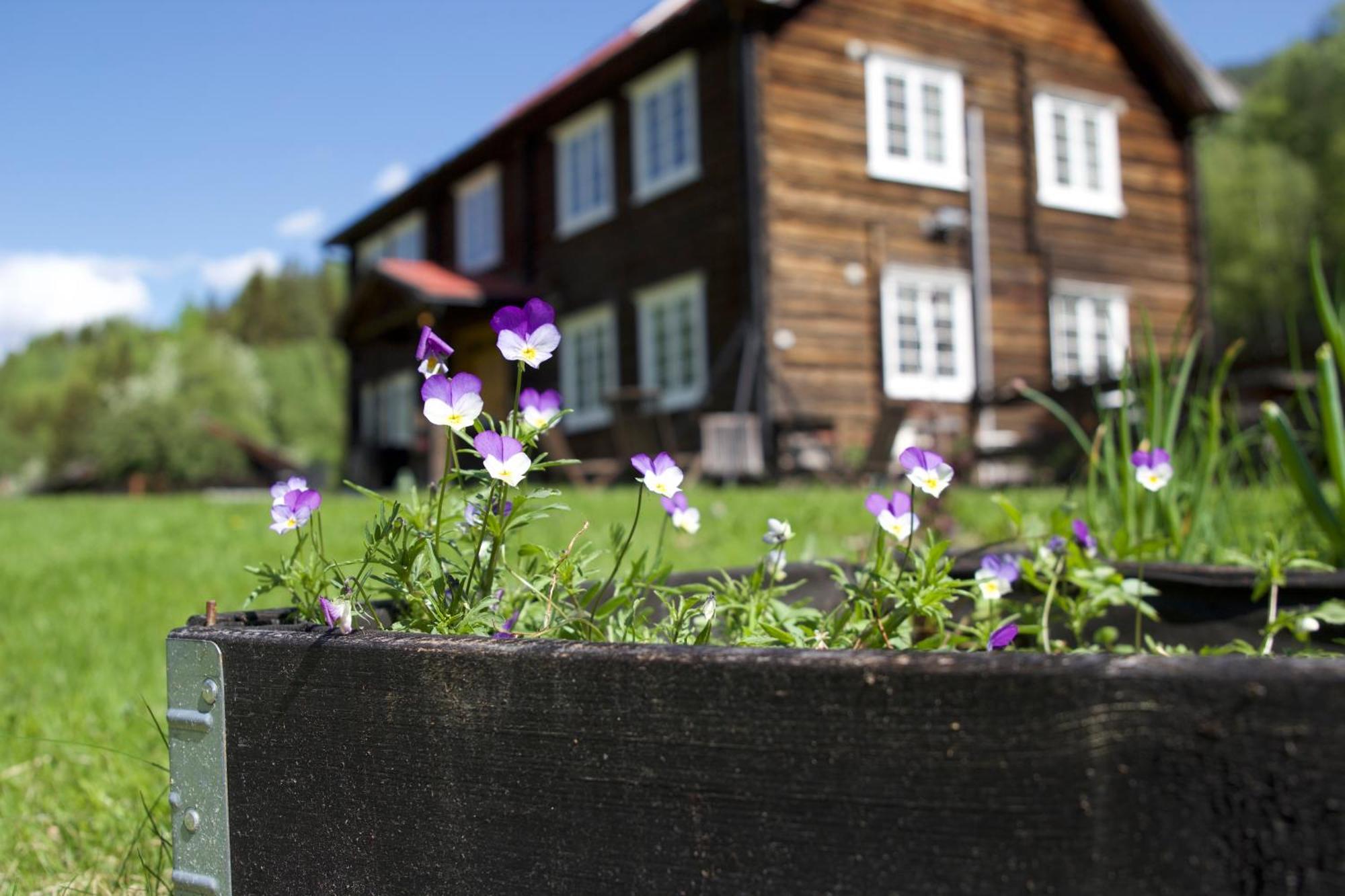 Sevletunet B&B And Cabins Rodberg Εξωτερικό φωτογραφία