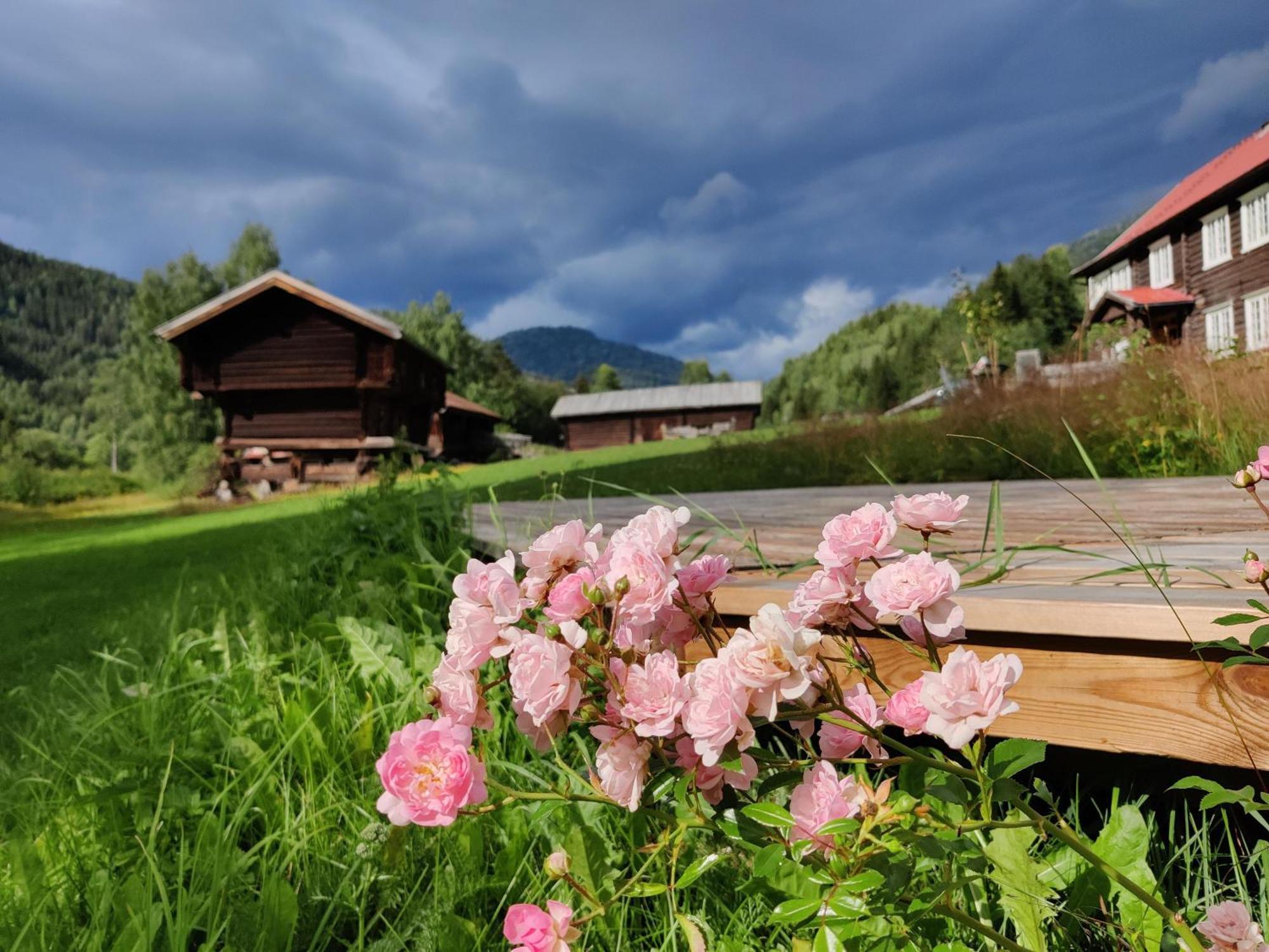 Sevletunet B&B And Cabins Rodberg Εξωτερικό φωτογραφία