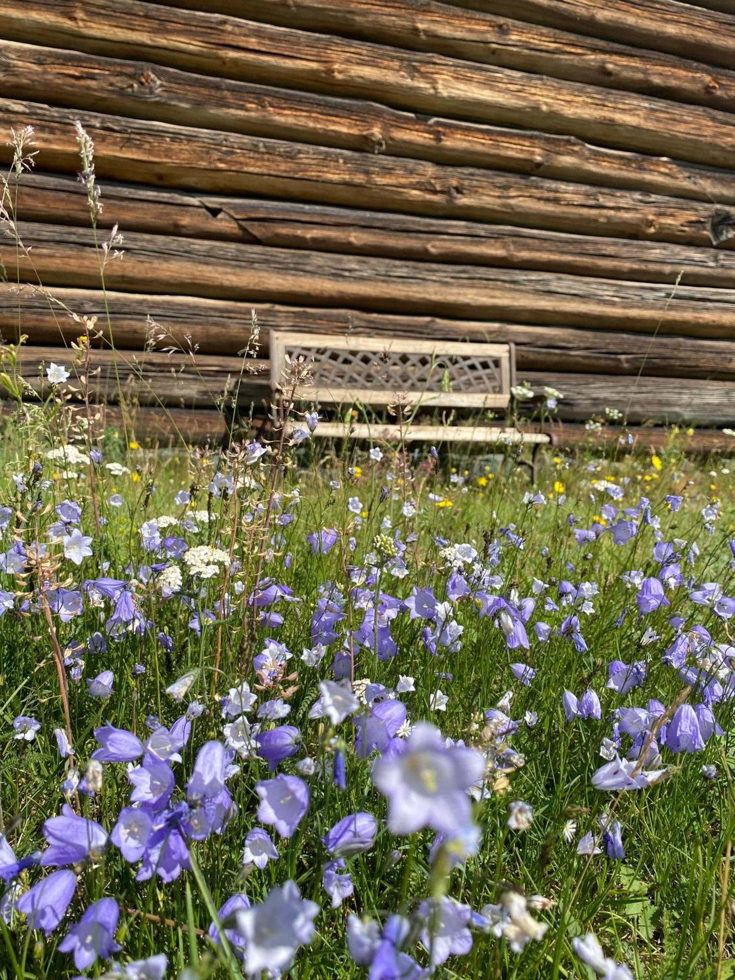 Sevletunet B&B And Cabins Rodberg Εξωτερικό φωτογραφία